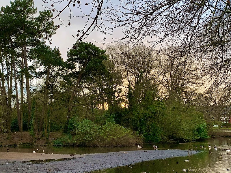Roath Park Wild Gardens