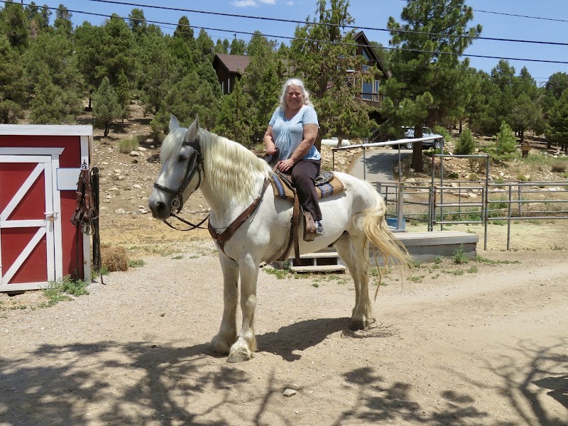Baldwin Lake Stables