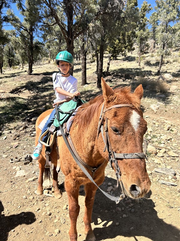 Baldwin Lake Stables