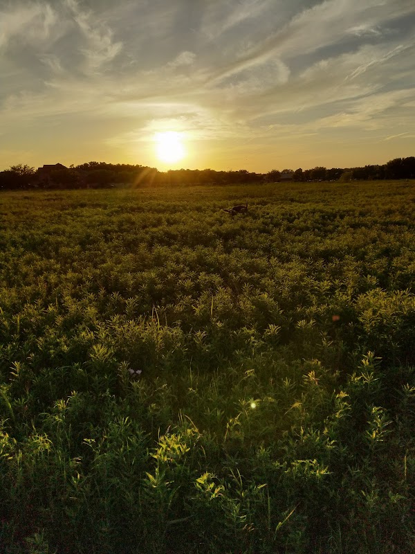 Grand Meadow Neighborhood Park