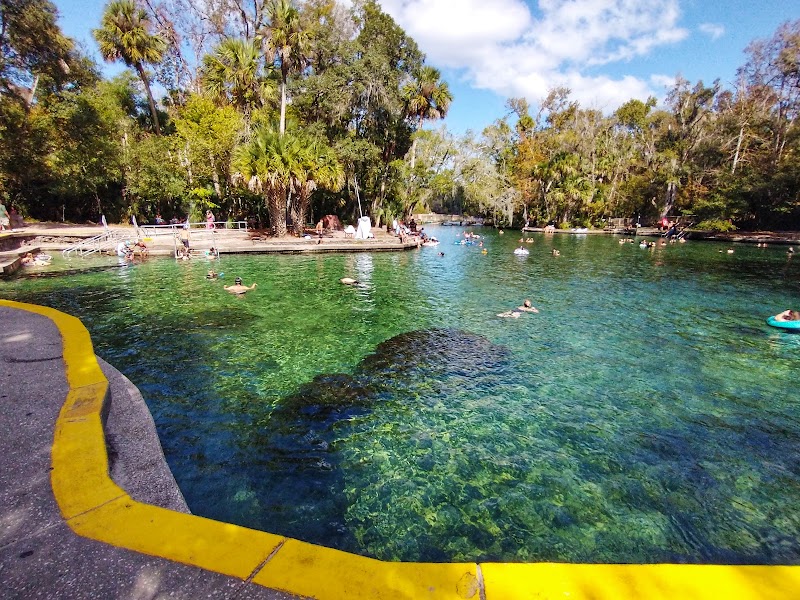 Wekiwa Springs