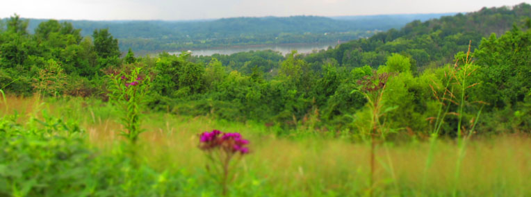 Woodland Mound