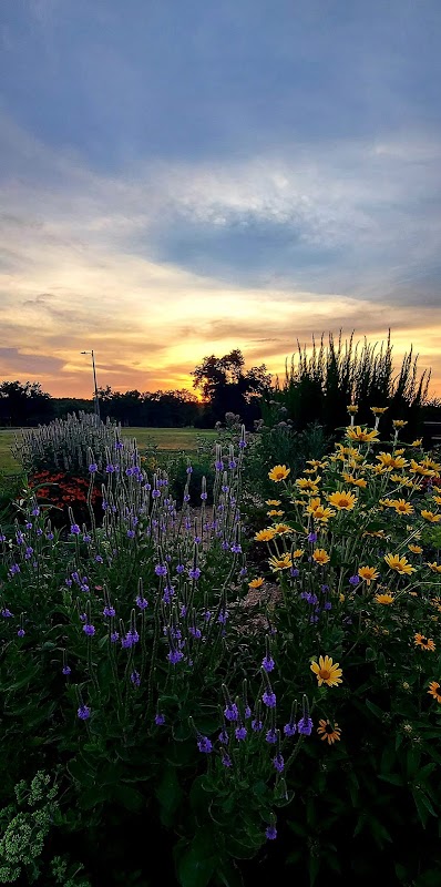 Choctaw Creek Park Waystation 31937