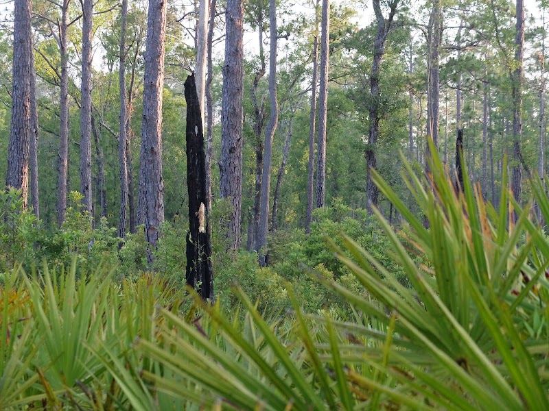 Fire and Water Recreation Area