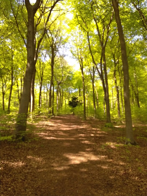 Queen Elizabeth Country Park