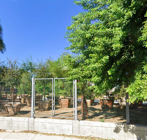 CSUN Tree Nursery