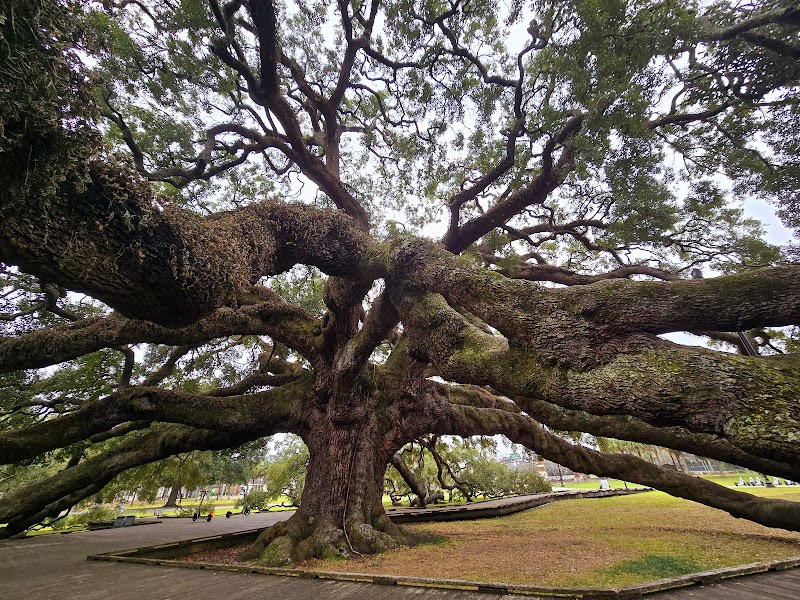 Jessie Ball DuPont Park