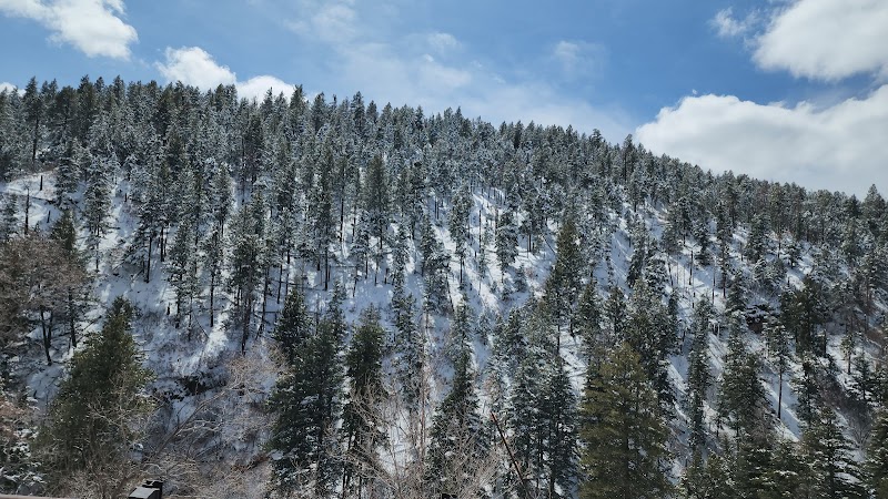 Cibola National Forest