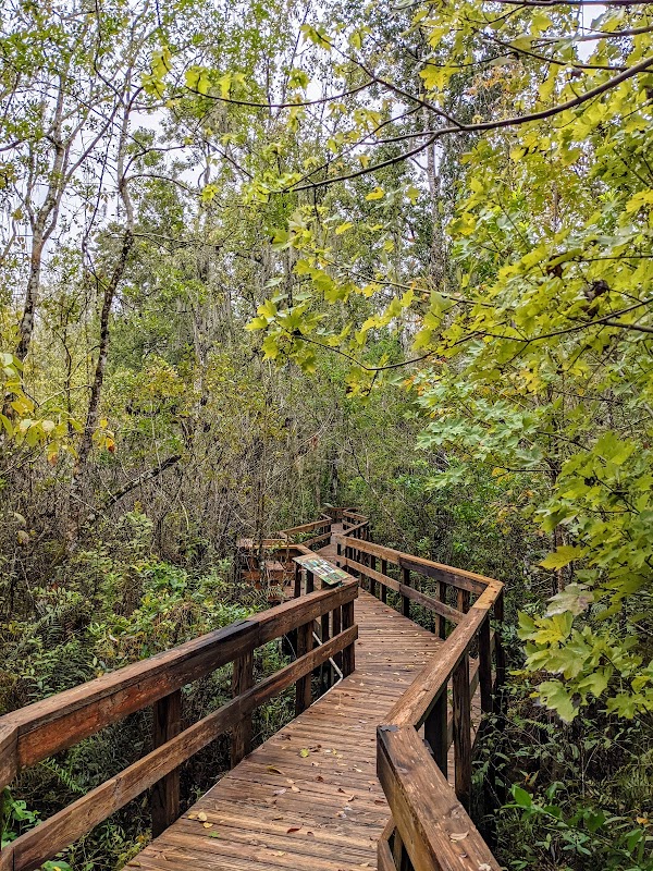 Sara Maude Mason Park