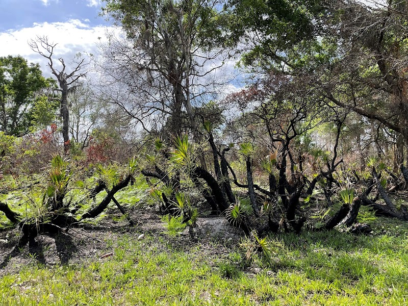 South Fork State Park