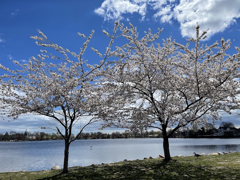 Brian Lowney Memorial Bench