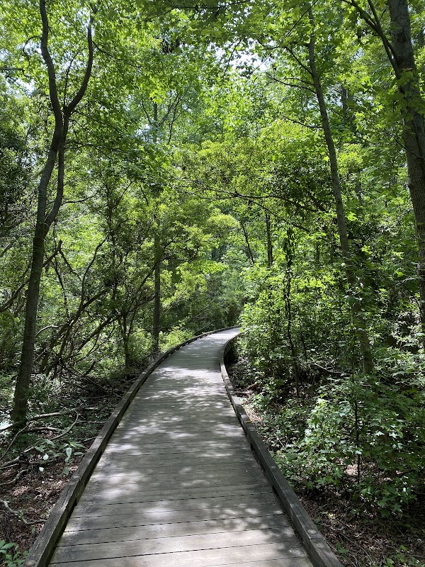 Jarvis Creek Fitness Trail