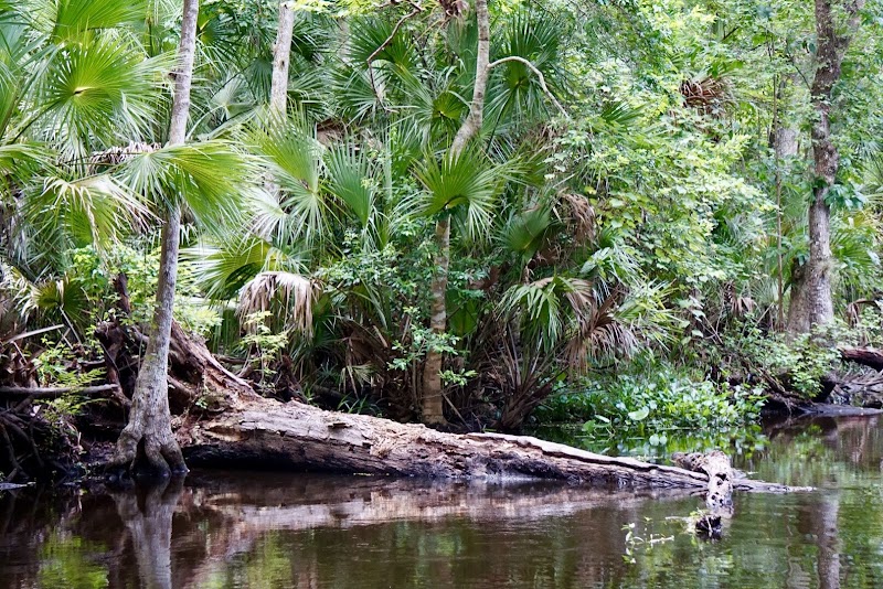 Sabal Point Sanctuary