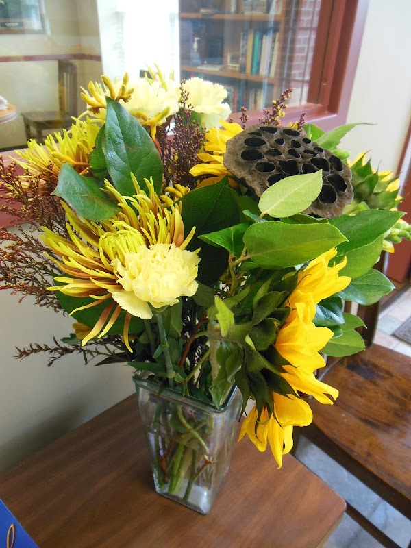 Virginia Recreation and Park Society