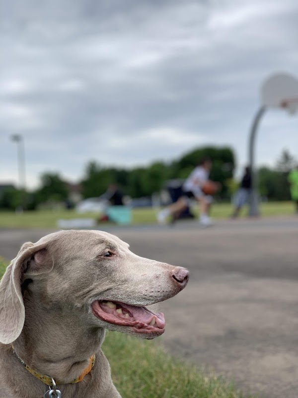 Edinbrook Park
