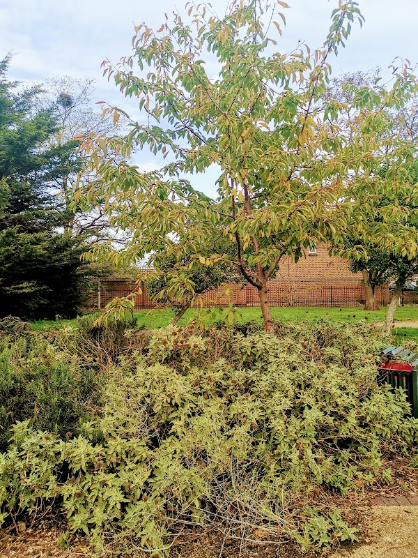 Old Dagenham Park Ornamental Garden