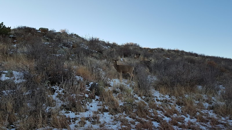 Coventry Hidden Cattails Natural Area