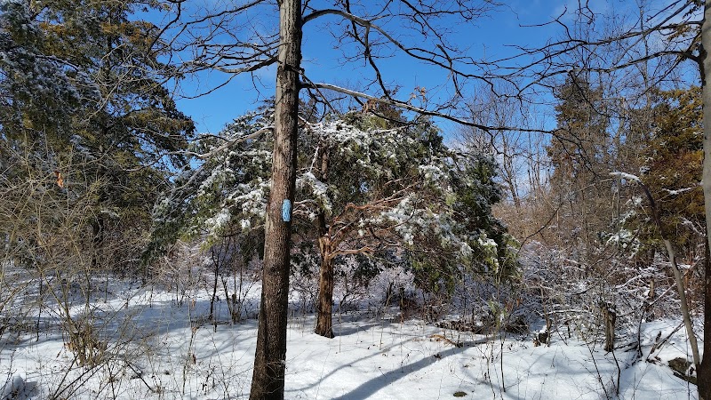 Mount Peter Hawk Watch