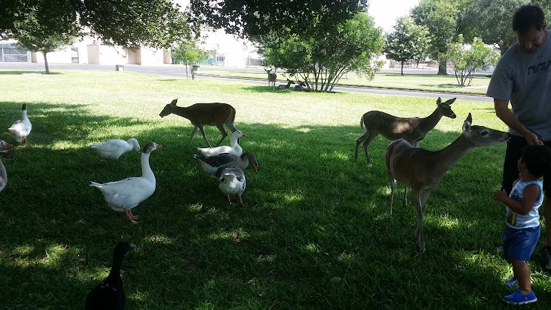 Fort Sam Houston Quadrangle