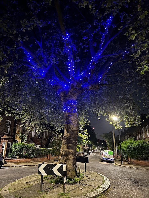 Noel Park Friendship Tree