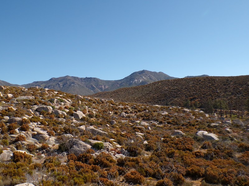 Apple Canyon Campground