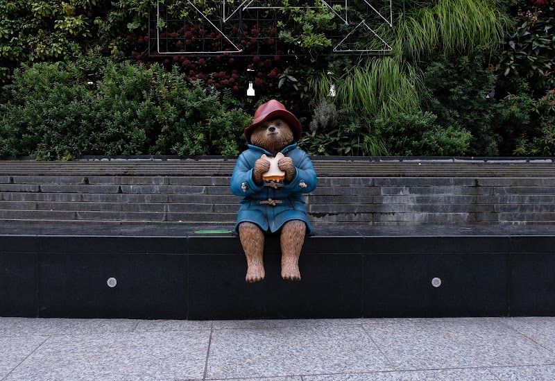 Paddington bear