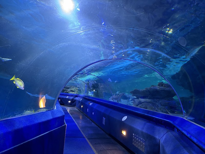 Blue Planet Aquarium