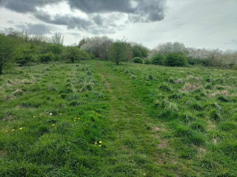 Phoenix Park Hill