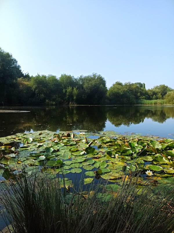 Stillwater Lake, nature reserve. By foot only