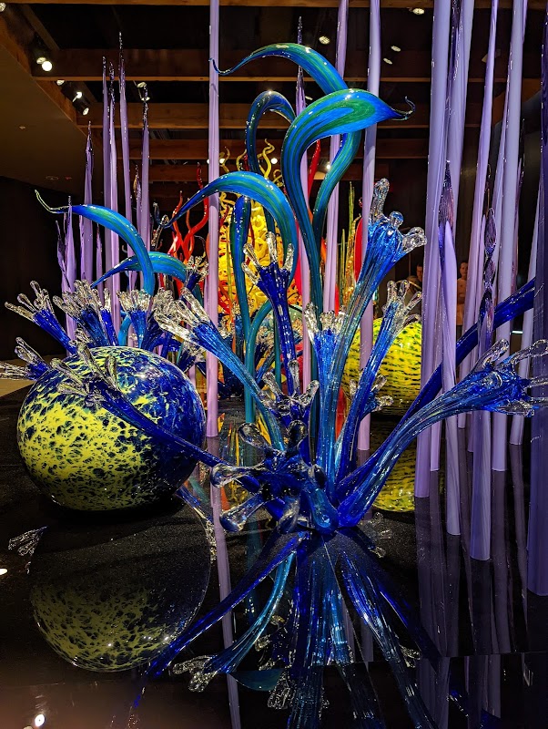 Chihuly Collection