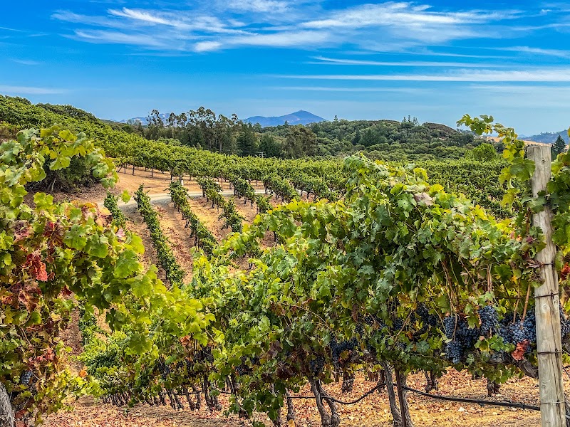 BobDog Wines