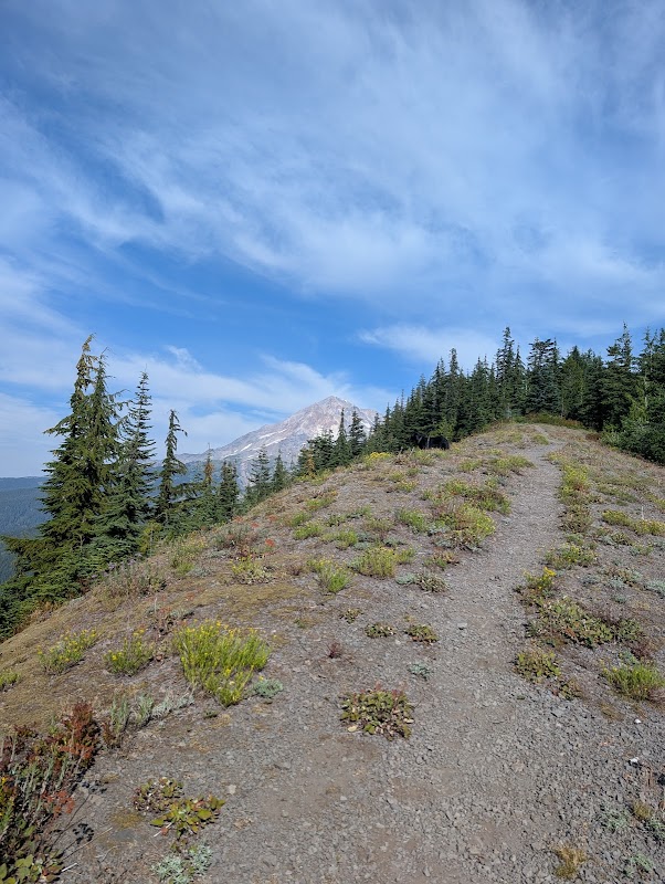 Zigzag Mountain Trailhead