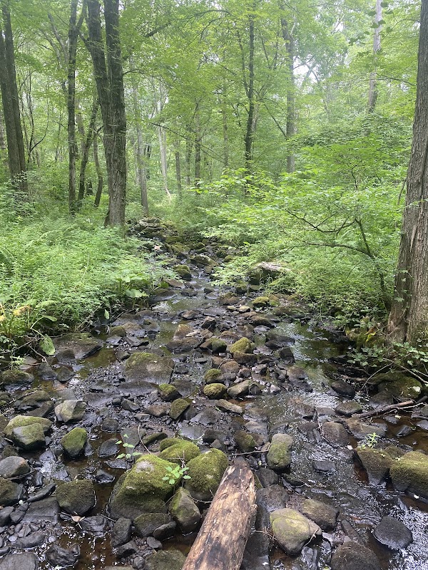 Finch Brook Trail