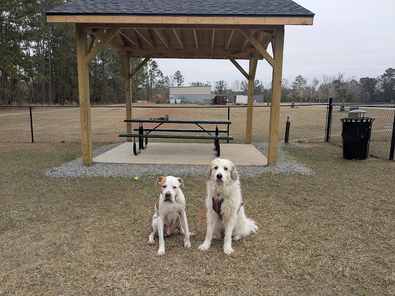 Dog Park