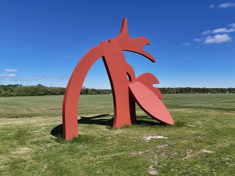 Manes Stargazer by Linda Scott