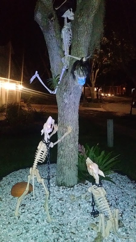 New Tampa Blvd Walking Trail