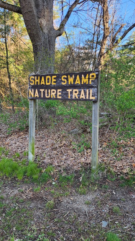 Shade Swamp Shelter