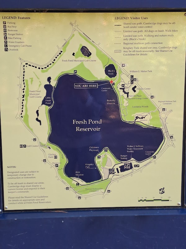 Fresh Pond Reservation