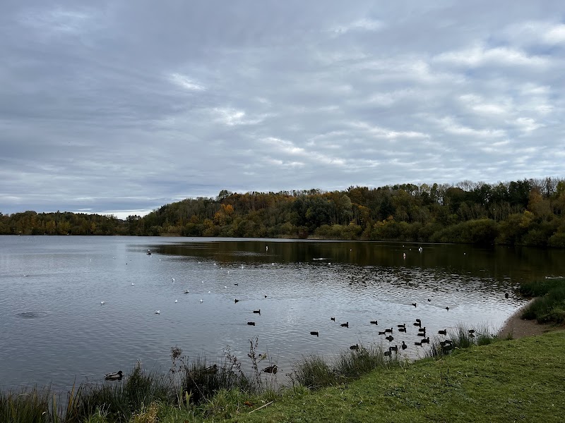 Astbury Mere