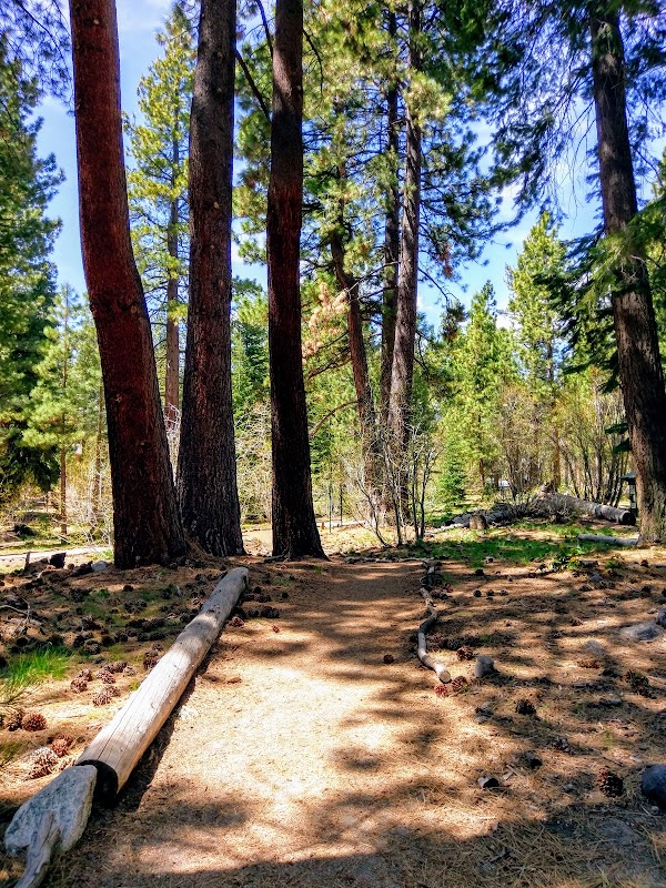Stream Environment Zone (SEZ) Nature Trail