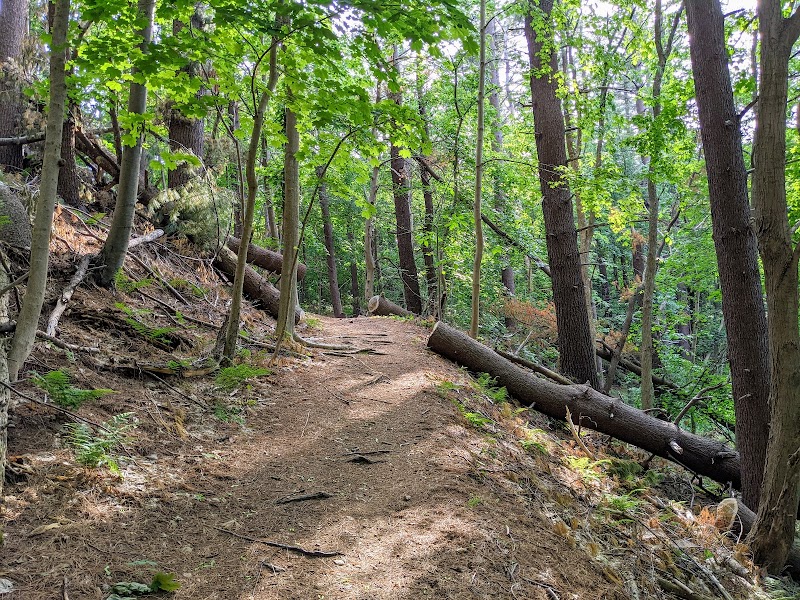 Boroughs Loop Trail