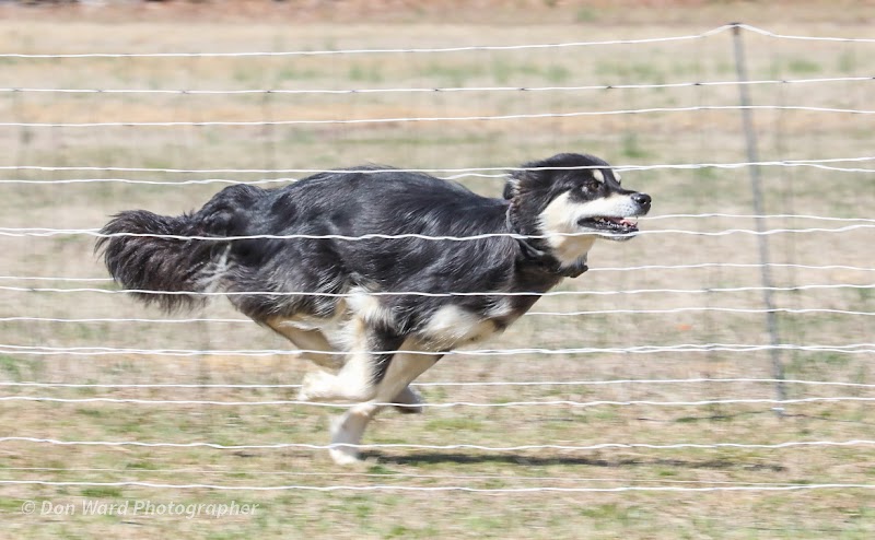 Hanover Ruritan Park
