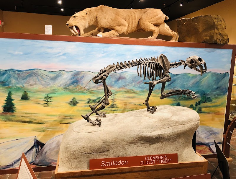 Bob Campbell Geology Museum