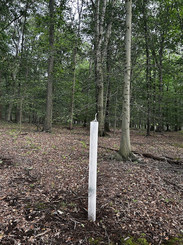 Curlis Lakes Wood Trail | Oak St Trailhead