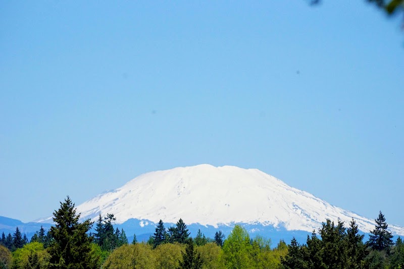 Foley Neighborhood Park Property