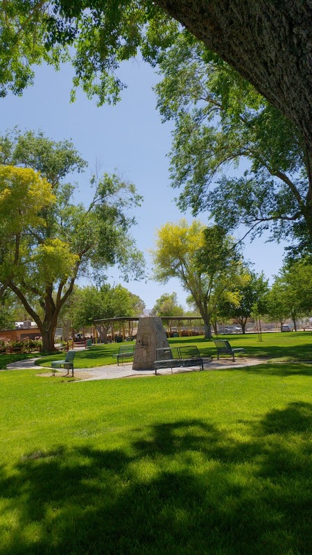County Service Area 29