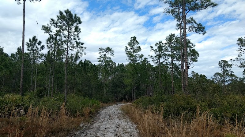 Isle of Pine Preserve