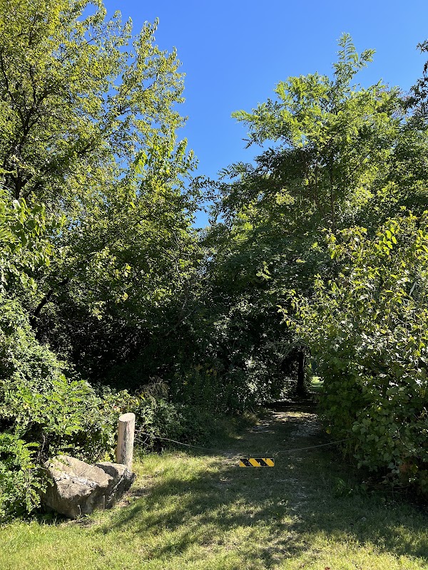 Bauernschmidt Manor Park