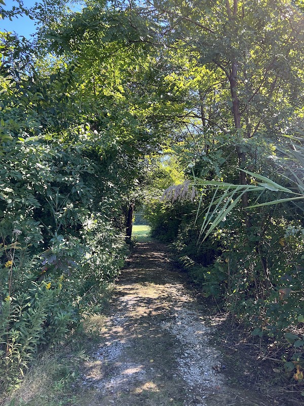 Bauernschmidt Manor Park