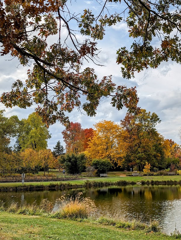 Cox Arboretum MetroPark Picnic Area